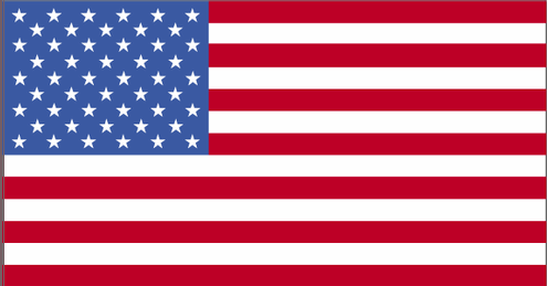 us-lgflag