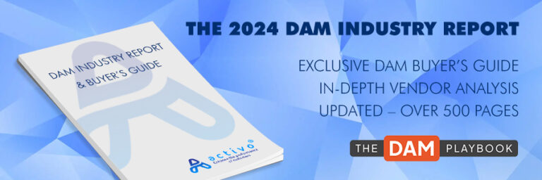 dam capital research report pdf
