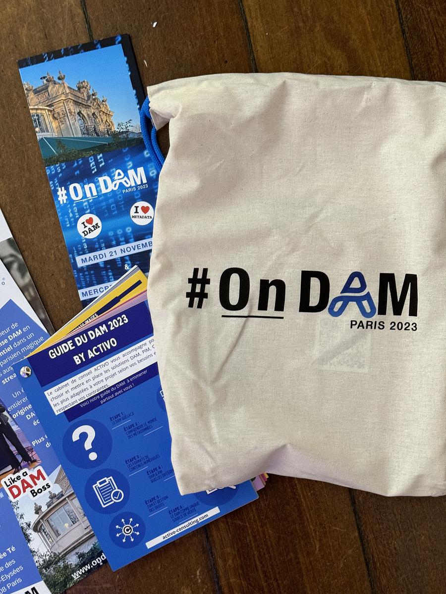 The OnDAM goody-bag with brochure and conference guide